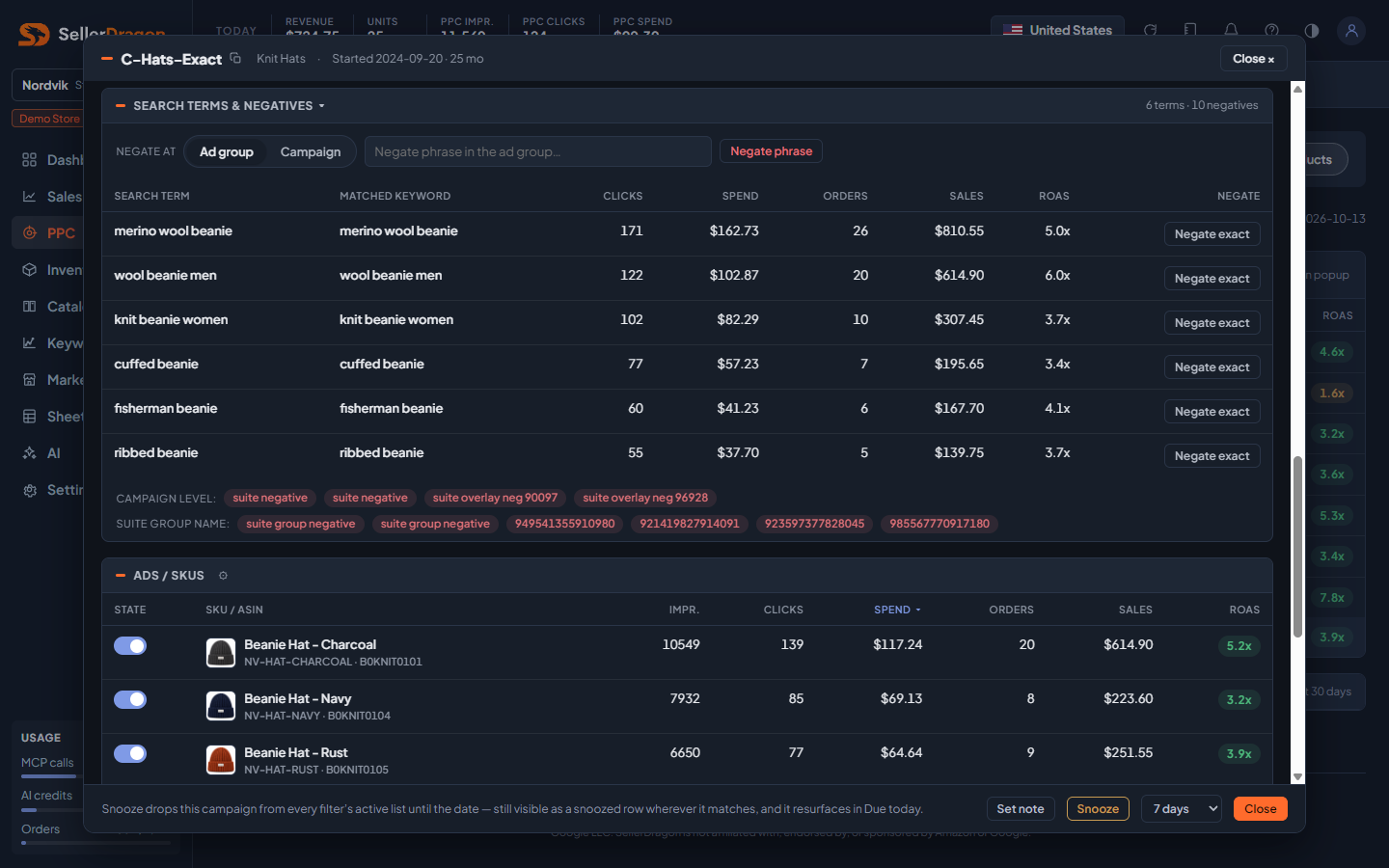 Campaign popup, search terms and negatives